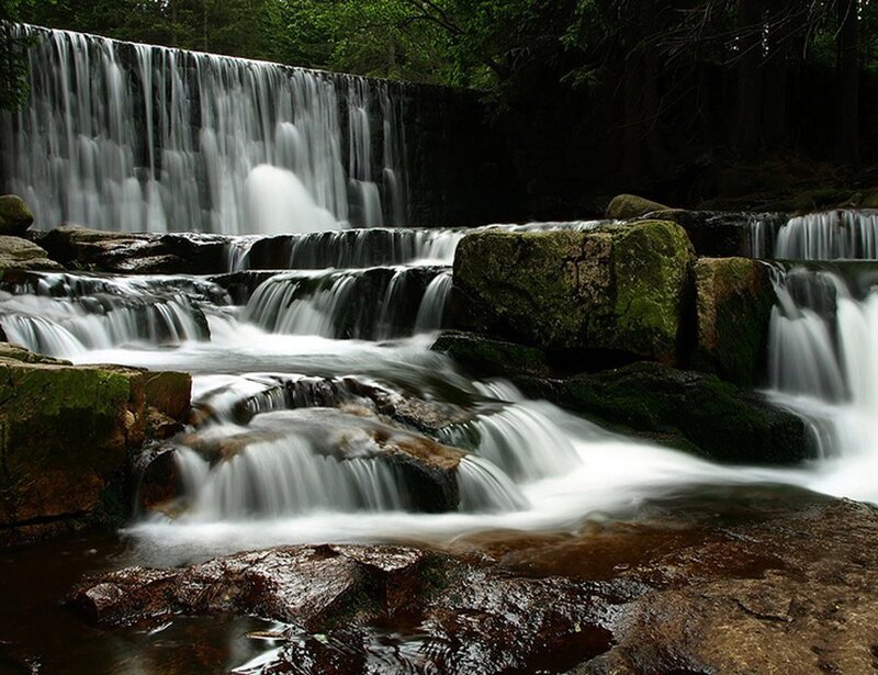 Waterfall in Forest — Green, Serene, Photograph, Rocks, Trees, Stream, Brown