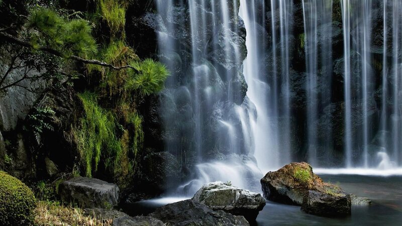 Waterfall in Forest — Green, Serene, Photograph, Rocks, Trees