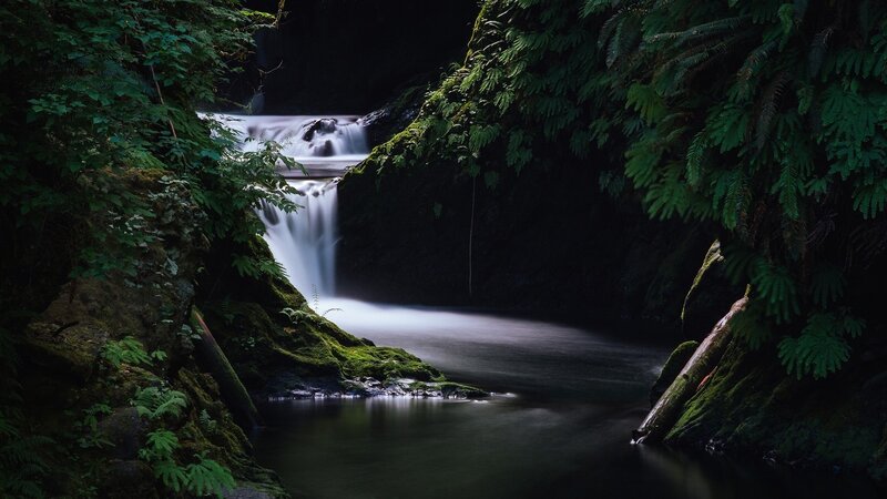 Waterfall in Forest — Green, Serene, Photograph, Stream, Moss