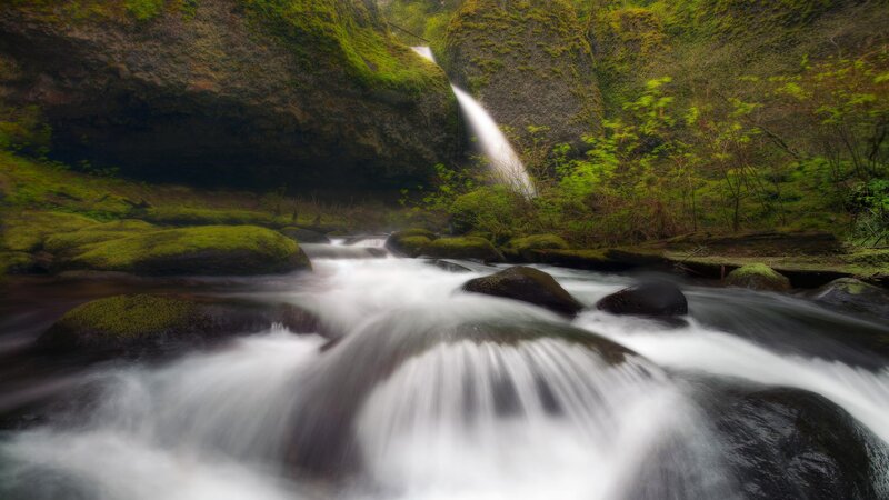 Waterfall in Forest — Green, Serene, Photograph, Stream, Rocks, Moss