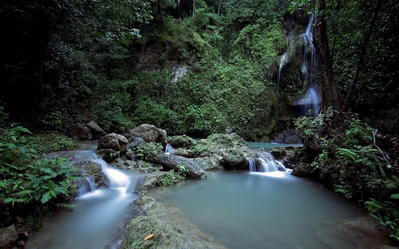 Waterfall in Forest — Green, Serene, Photograph, Stream, Rocks