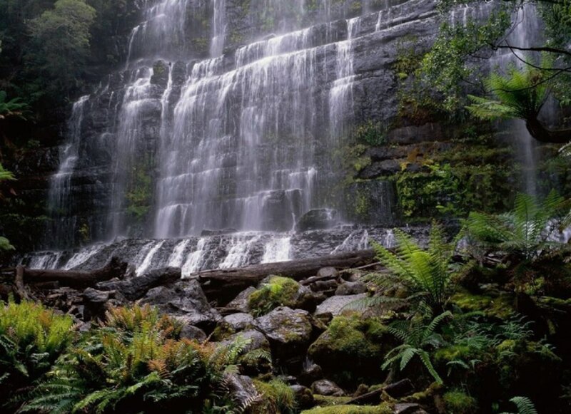 Waterfall in Forest — Green, Serene, Photograph