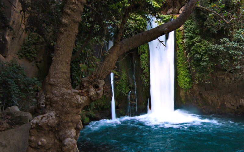 Waterfall in Forest — Green, Serene, Photograph, Tree, Pool