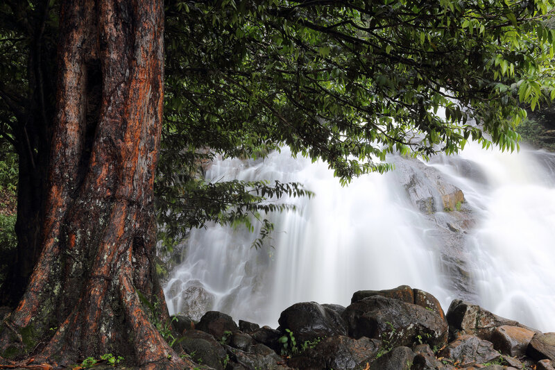 Waterfall in Forest — Green, Serene, Photograph, Tree