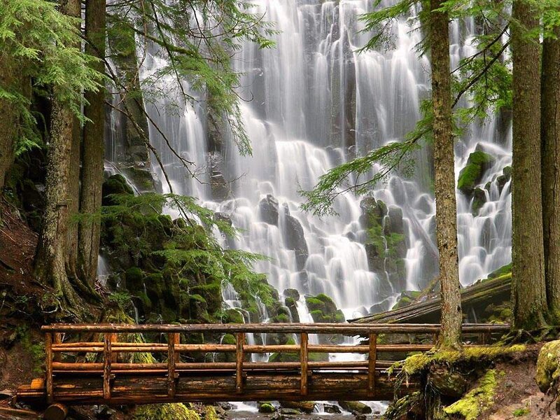 Waterfall in Forest — Green, Serene, Photograph, Trees, Bridge