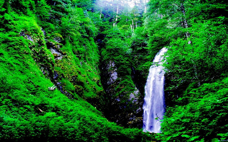 Waterfall in Forest — Green, Serene, Photograph, Trees, Canyon