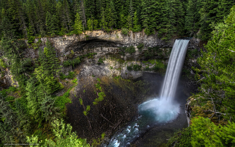 Waterfall in Forest — Green, Serene, Photograph, Trees, Cliff, River