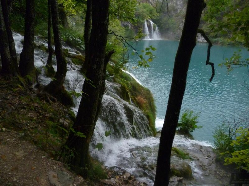 Waterfall in Forest — Green, Serene, Photograph, Trees, Lake