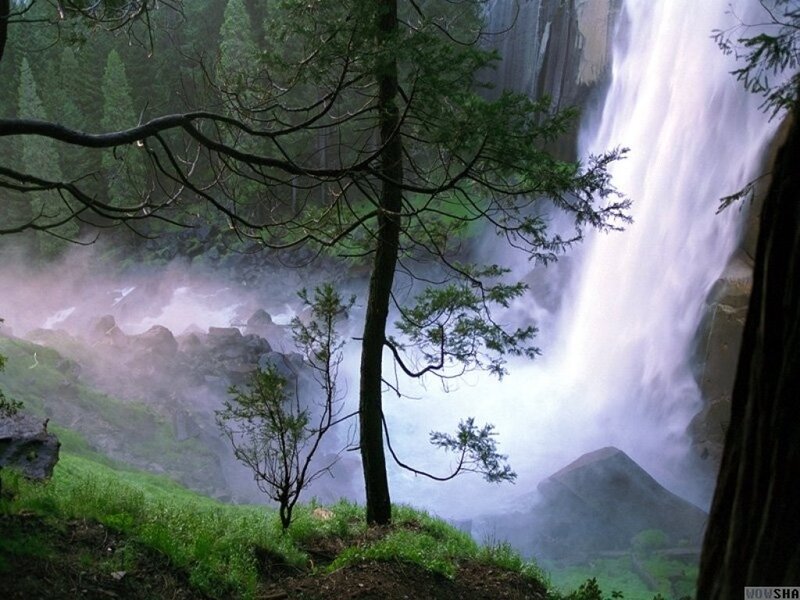 Waterfall in Forest — Green, Serene, Photograph, Trees, Mist, Rocks