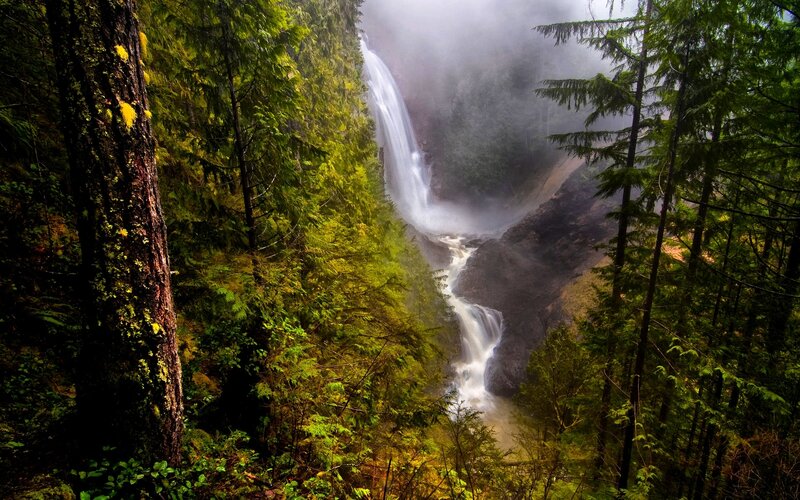 Waterfall in Forest — Green, Serene, Photograph, Trees, Mist