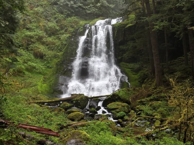 Waterfall in Forest — Green, Serene, Photograph, Trees, Moss, Rocks, Stream