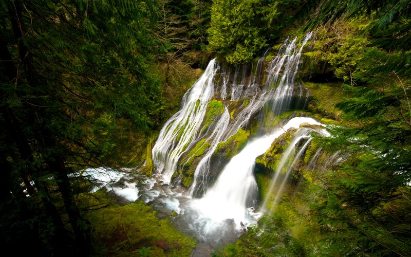 Waterfall in Forest — Green, Serene, Photograph, Trees, Moss