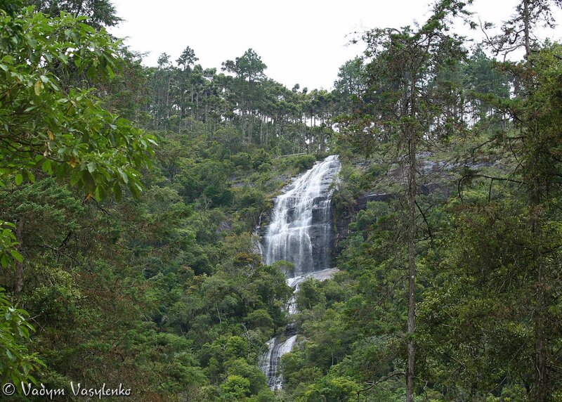 Waterfall in Forest — Green, Serene, Photograph, Trees, Mountain