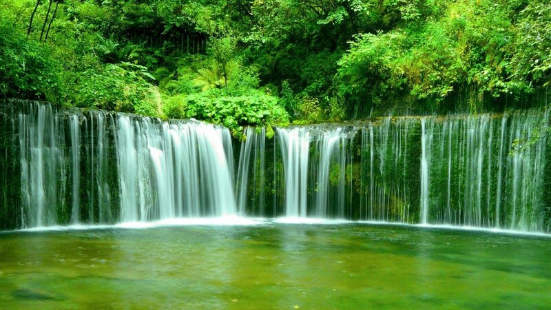 Waterfall in Forest — Green, Serene, Photograph, Trees, Pool, Moss