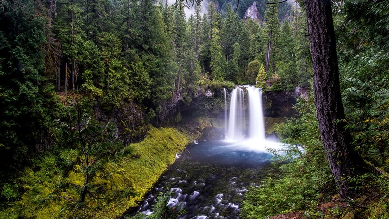 Waterfall in Forest — Green, Serene, Photograph, Trees, River, Moss