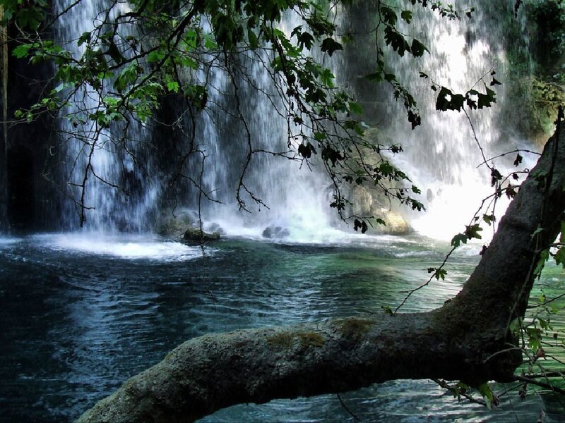 Waterfall in Forest — Green, Serene, Photograph, Trees, River, Rocks, Blue, White
