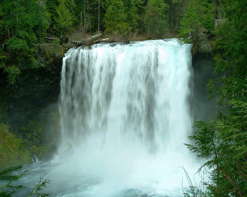 Waterfall in Forest — Green, Serene, Photograph, Trees, River, Rocks