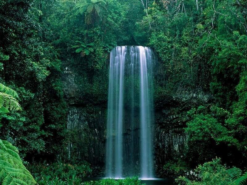 Waterfall in Forest — Green, Serene, Photograph, Trees, Rock, Plants