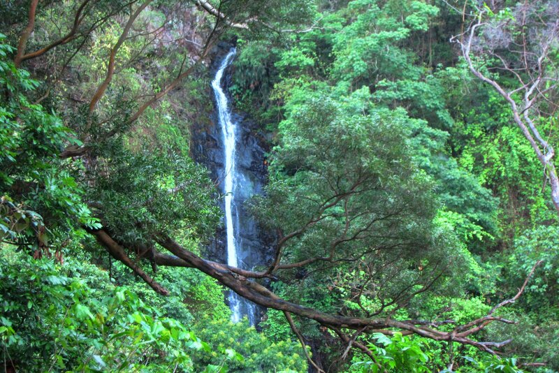Waterfall in Forest — Green, Serene, Photograph, Trees, Rock, River
