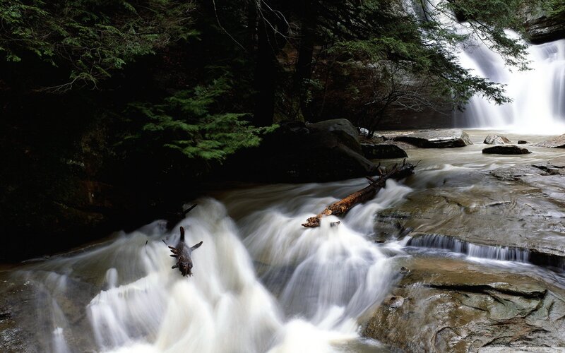 Waterfall in Forest — Green, Serene, Photograph, Trees, Rocks, Log