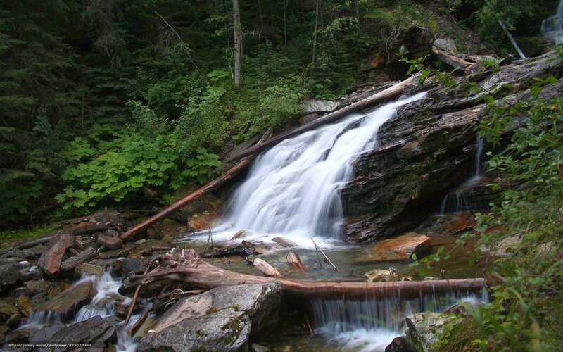 Waterfall in Forest — Green, Serene, Photograph, Trees, Rocks, Logs