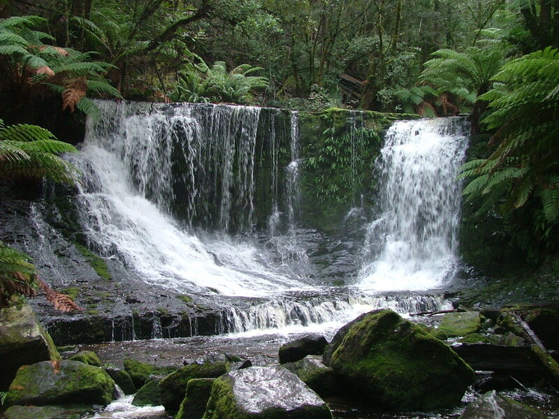 Waterfall in Forest — Green, Serene, Photograph, Trees, Rocks, Moss, Stream
