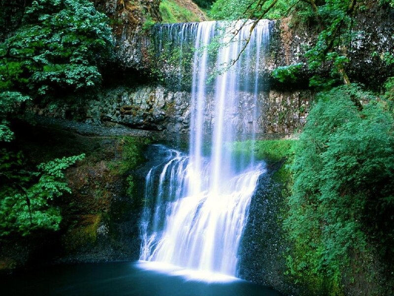 Waterfall in Forest — Green, Serene, Photograph, Trees, Rocks, Pool, Blue, Gray