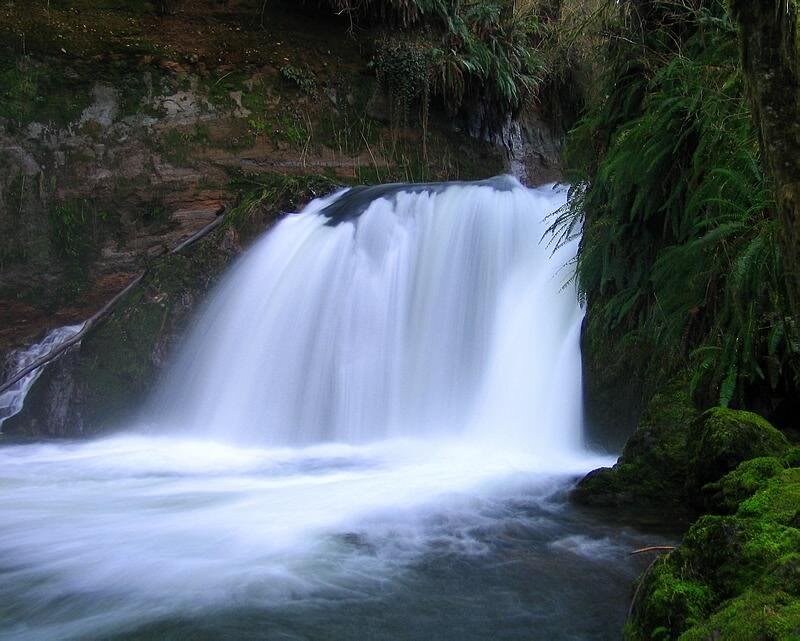 Waterfall in Forest — Green, Serene, Photograph, Trees, Rocks, River