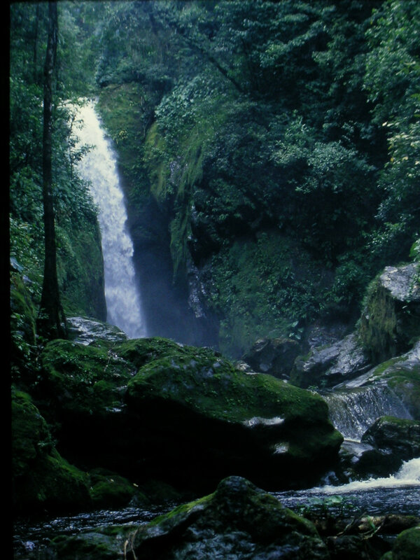 Waterfall in Forest — Green, Serene, Photograph, Trees, Rocks, Stream, Blue, White, Portrait