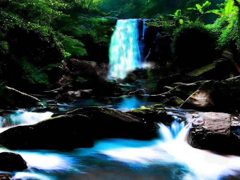 Waterfall in Forest — Green, Serene, Photograph, Trees, Rocks, Stream