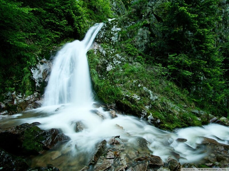 Waterfall in Forest — Green, Serene, Photograph, Trees, Rocks