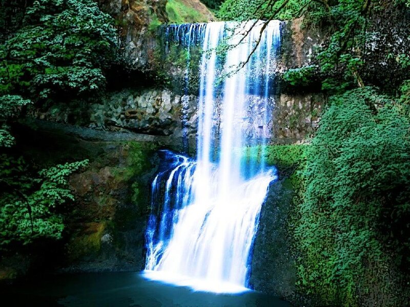 Waterfall in Forest — Green, Serene, Photograph, Trees