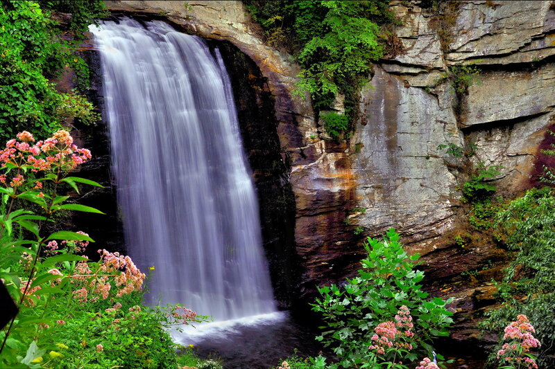 Waterfall in Forest — Green, Serene, Spring, Photograph, Flowers, Rocks