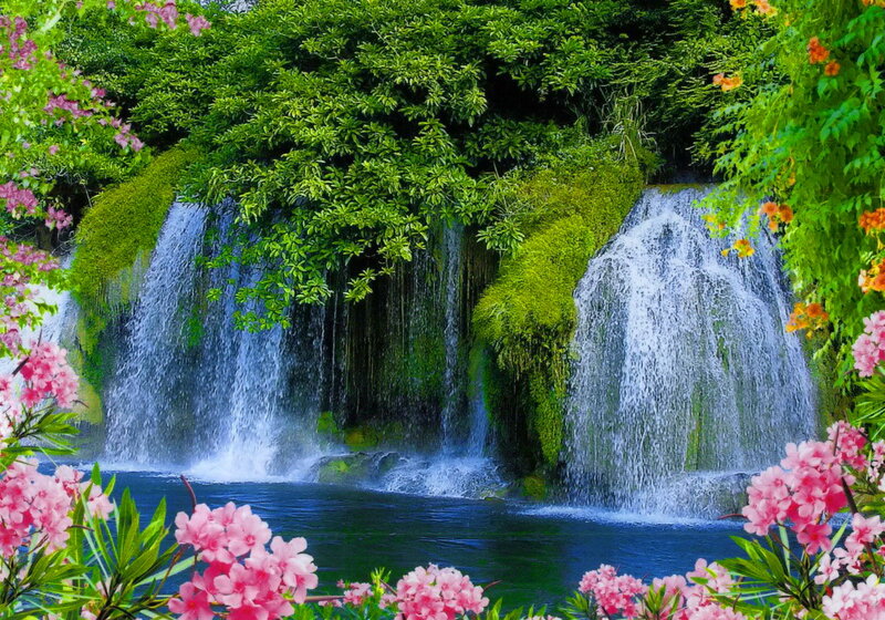 Waterfall in Forest — Green, Serene, Spring, Photograph, Flowers, Trees