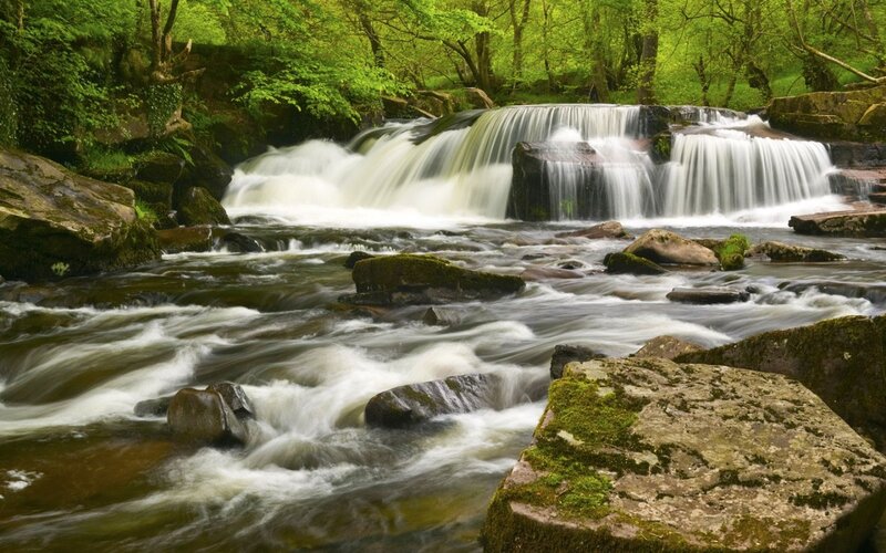 Waterfall in Forest — Green, Serene, Spring, Photograph, River, Rocks