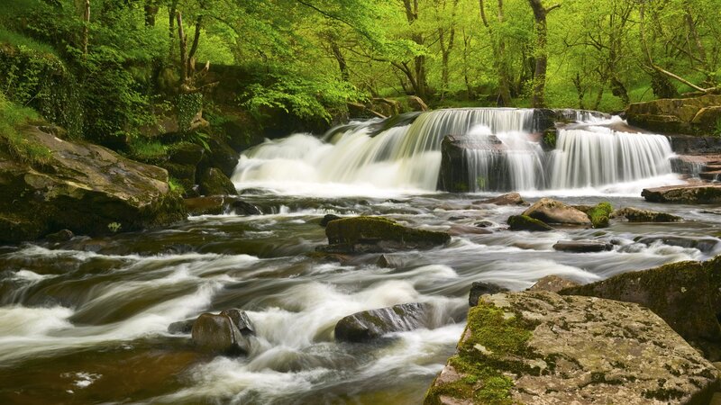 Waterfall in Forest — Green, Serene, Spring, Photograph, River, Rocks, Trees, Brown