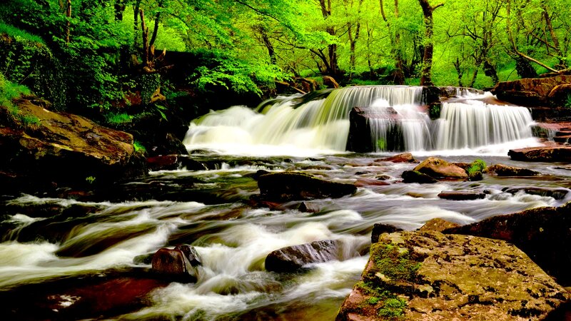Waterfall in Forest — Green, Serene, Spring, Photograph, River