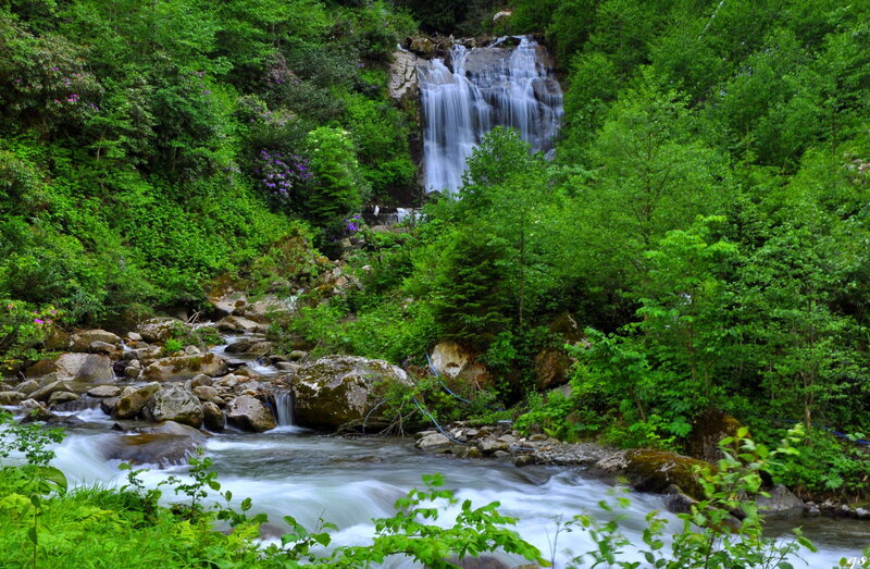 Waterfall in Forest — Green, Serene, Spring, Photograph, River, Trees