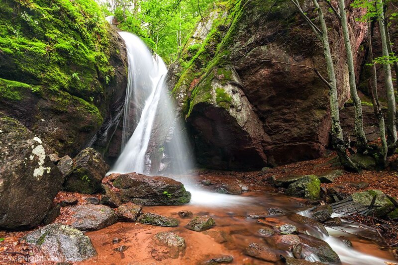Waterfall in Forest — Green, Serene, Spring, Photograph, Rocks, Trees, Moss