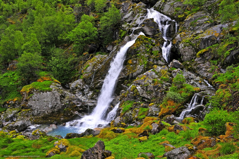 Waterfall in Forest — Green, Serene, Spring, Photograph, Rocks, Trees, Pool