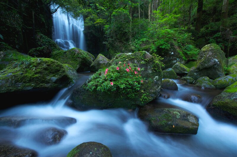 Waterfall in Forest — Green, Serene, Spring, Photograph, Stream