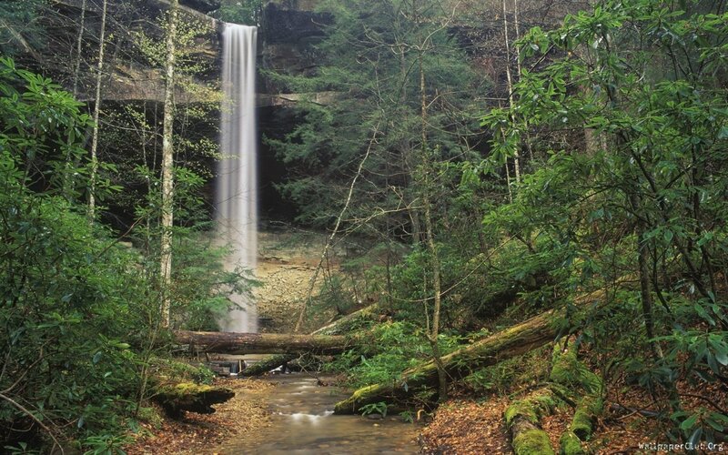 Waterfall in Forest — Green, Serene, Spring, Photograph