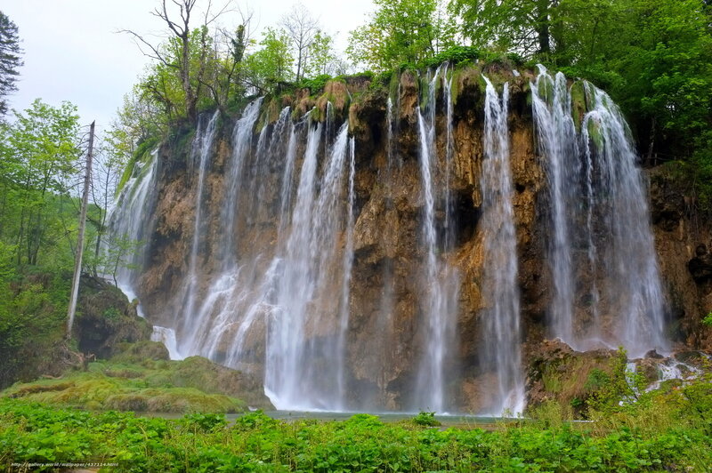 Waterfall in Forest — Green, Serene, Spring, Photograph, Trees, Cliff, River