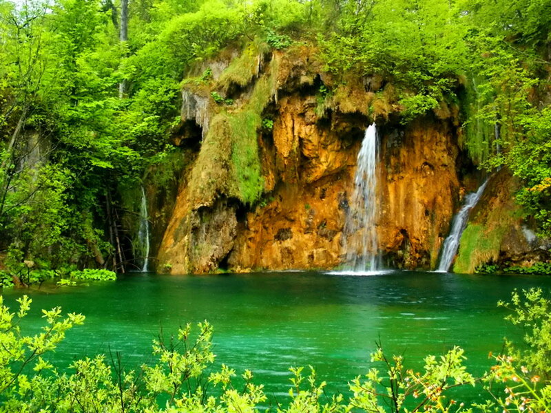 Waterfall in Forest — Green, Serene, Spring, Photograph, Trees, Cliff