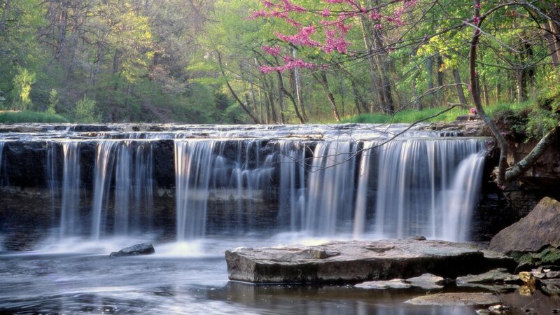 Waterfall in Forest — Green, Serene, Spring, Photograph, Trees, Flowers, Rocks, Blue
