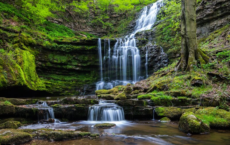 Waterfall in Forest — Green, Serene, Spring, Photograph, Trees, Moss, Rocks, Stream