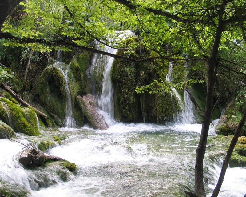 Waterfall in Forest — Green, Serene, Spring, Photograph, Trees, Moss, Rocks