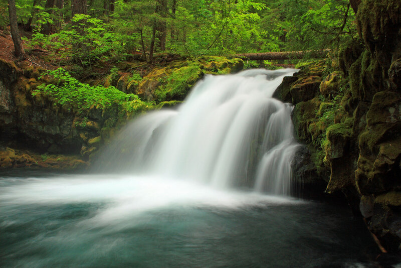 Waterfall in Forest — Green, Serene, Spring, Photograph, Trees, Moss