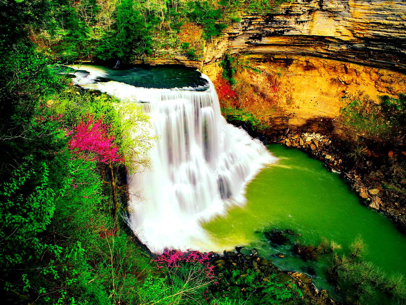 Waterfall in Forest — Green, Serene, Spring, Photograph, Trees, River, Cliff