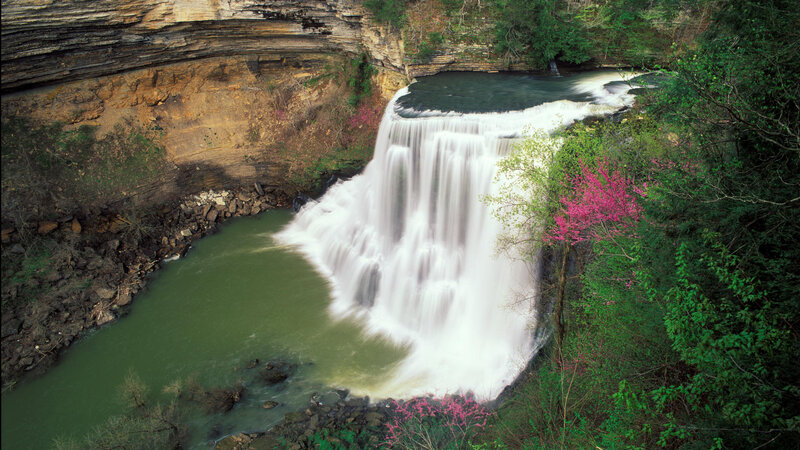 Waterfall in Forest — Green, Serene, Spring, Photograph, Trees, River